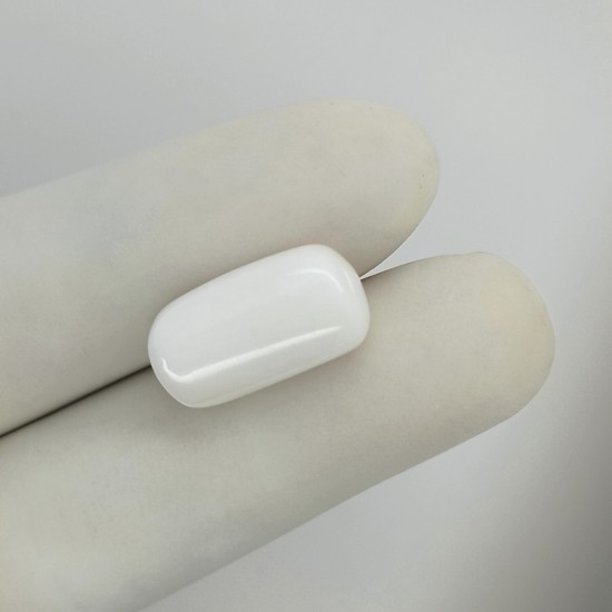 White Coral (Safed Moonga) 12.6 Ct Best Quality
